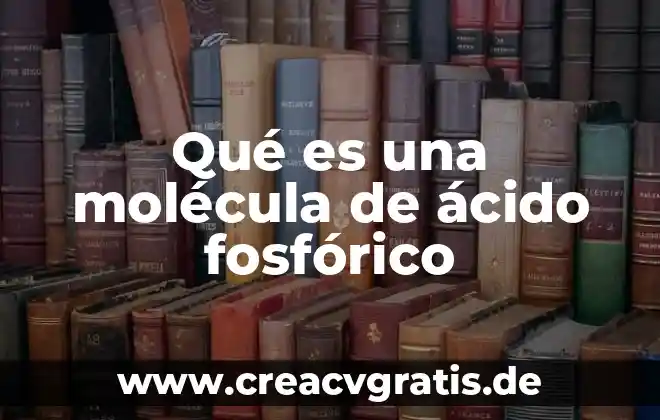 Qué es el ácido muriático nombres similares 3 Qué es una molécula de ácido fosfórico