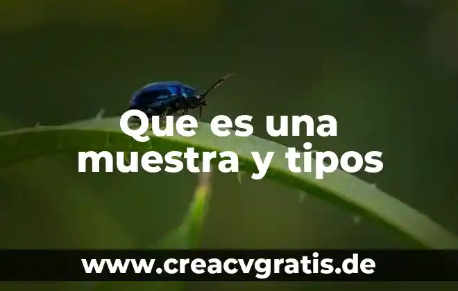 Qué es una red tipos topología y componentes 6 Que es una muestra y tipos