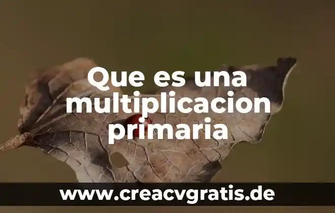 Que es la multiplicacion y division de numeros con signo 4 Que es una multiplicacion primaria