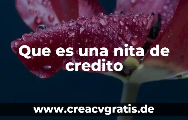 Que es un credito de dinero 8 Que es una nita de credito