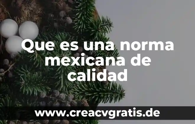Qué es la psicología psicoterápica y psicoanalista 4 Que es una norma mexicana de calidad