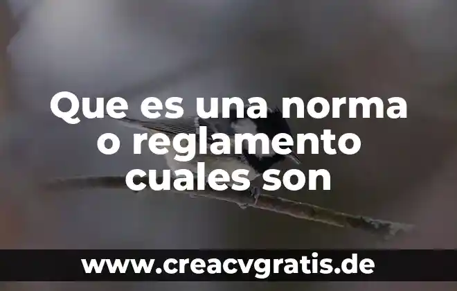 Qué es la luna y cuáles son sus movimientos 5 Que es una norma o reglamento cuales son