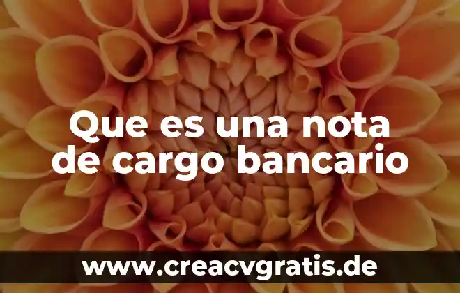 Que es un cresito bancario y tipos 4 Que es una nota de cargo bancario