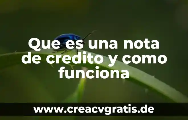 Que es una nota periodistica para niños de 4to grado 8 Que es una nota de credito y como funciona