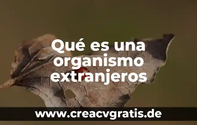 Qué es un organismo de la piel 4 Qué es una organismo extranjeros