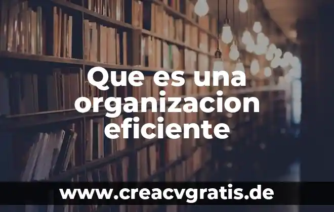 Que es un intermediario en una organizacion 4 Que es una organizacion eficiente
