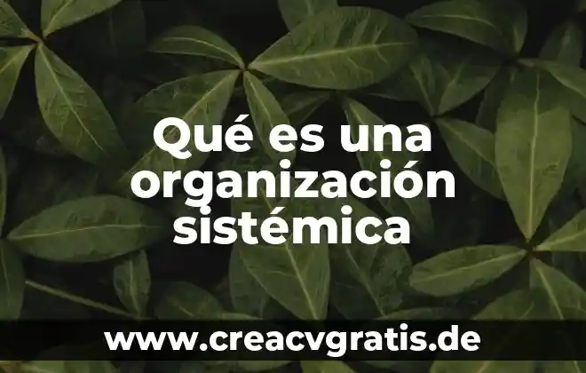 Que es una organizacion tecnica de una empresa 4 Qué es una organización sistémica