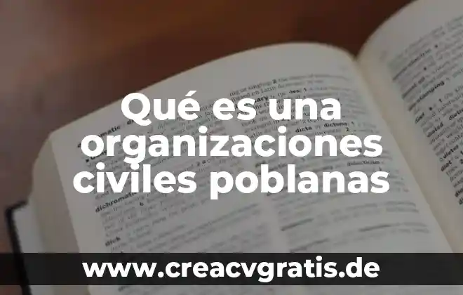 Que es el mercado en obras civiles en mexico 3 Qué es una organizaciones civiles poblanas