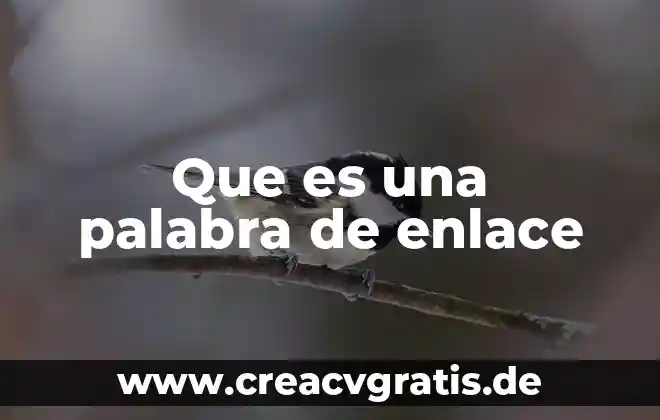 Qué es significa la palabra soberanía 3 Que es una palabra de enlace