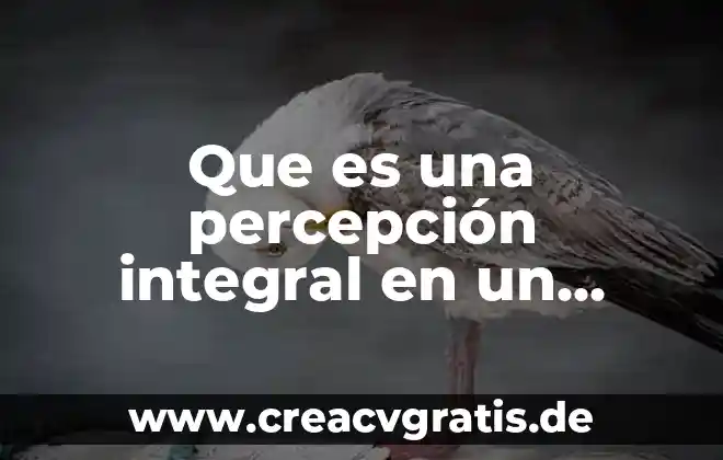 Que es la atencion preventva integral 4 Que es una percepción integral en un archivo multimedia