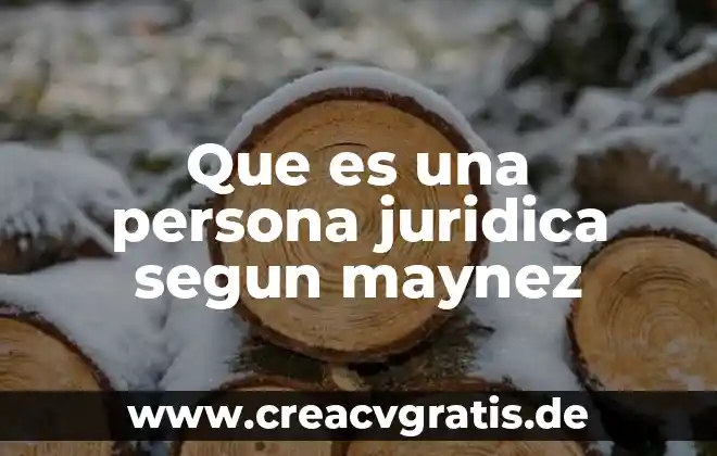 Que es un aval segun eduardo garcia maynez 5 Que es una persona juridica segun maynez