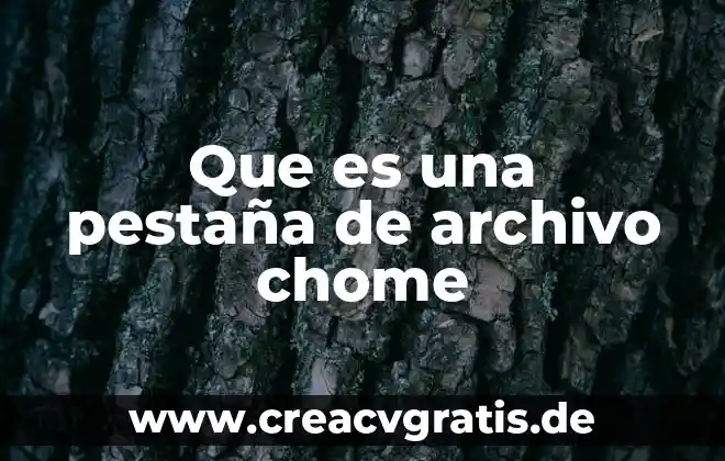 En computación que es el botón archivo 4 Que es una pestaña de archivo chome