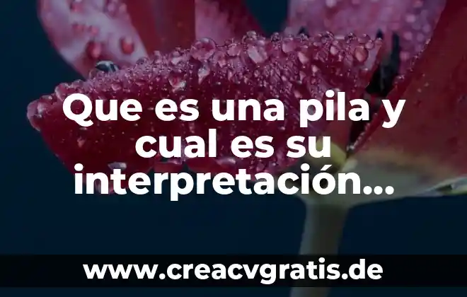 Qué es representación e interpretación de datos matemáticos 7 Que es una pila y cual es su interpretación física