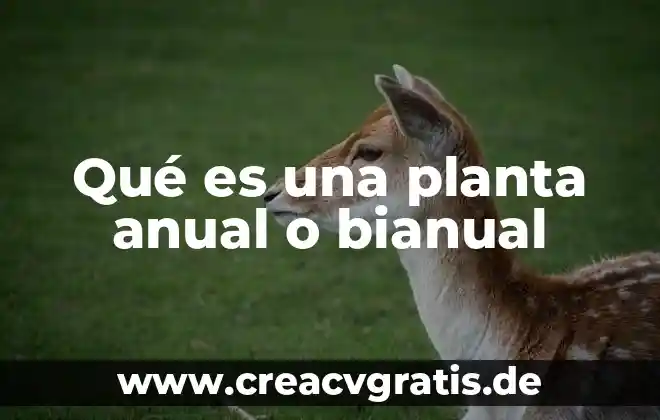 Que es sentencia condicional ejemplos 3 Qué es una planta anual o bianual