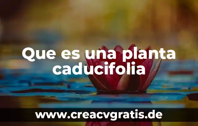 Qué es el método cuali-cuantitativo 3 Que es una planta caducifolia
