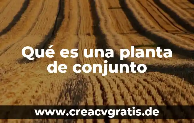 Que es el conjunto de números enteros 7 Qué es una planta de conjunto