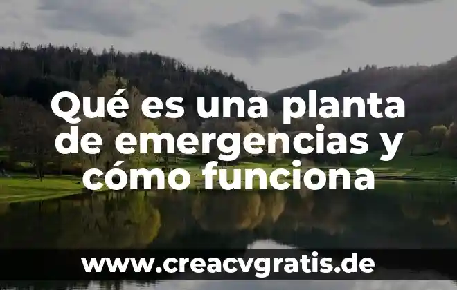 Que es la operacion de la planta 8 Qué es una planta de emergencias y cómo funciona