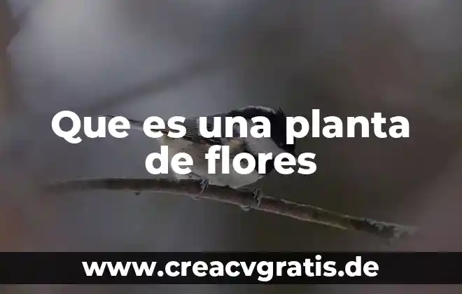 Elias lara flores que es contabilidad 5 Que es una planta de flores