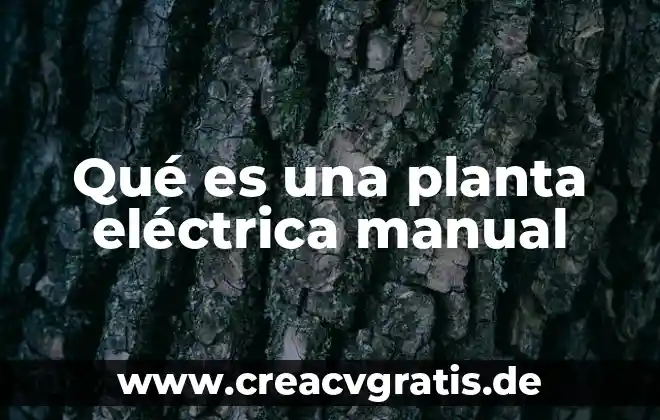 Qué es la beta oxidación de los ácidos grasos 8 Qué es una planta eléctrica manual