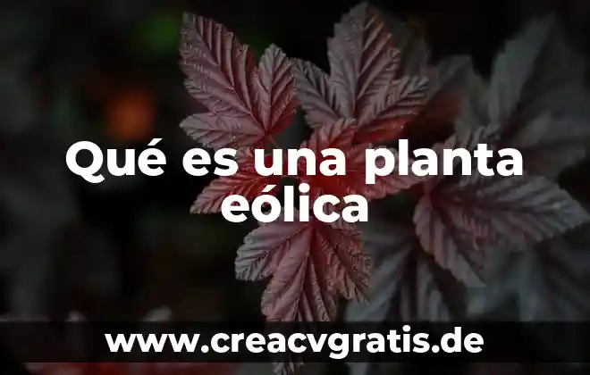 Que es el suche planta 7 Qué es una planta eólica