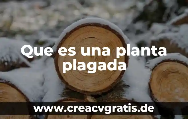 Qué es el sauce planta 5 Que es una planta plagada