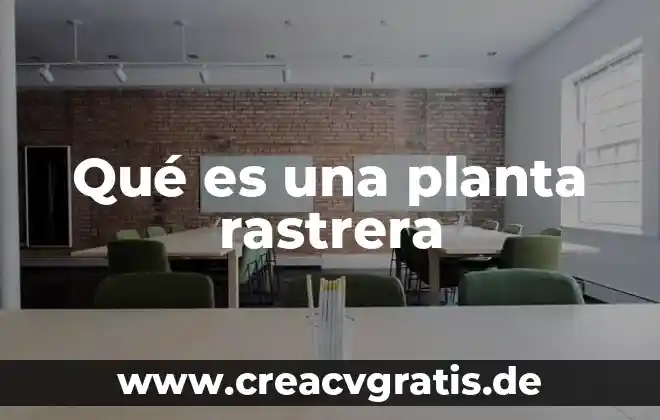 Definicion de que es un punto en geometria 6 Qué es una planta rastrera