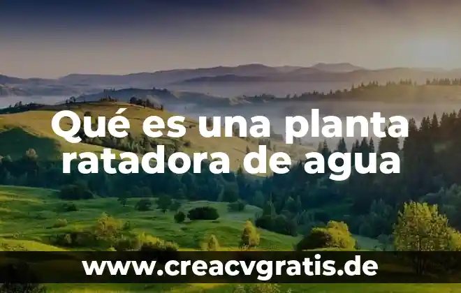 Qué es una planta termosolar 7 Qué es una planta ratadora de agua