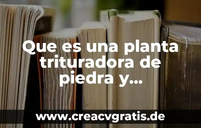 Que es la auditoria en el area de produccion 8 Que es una planta trituradora de piedra y agregados