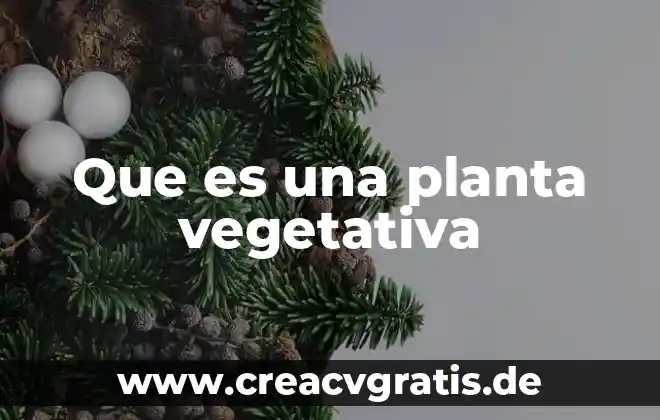 Que es la resina de una planta 5 Que es una planta vegetativa