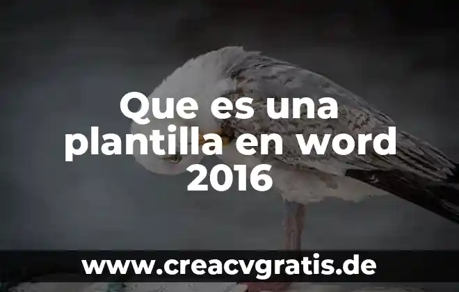 Qué es una plantilla de reporte en word 3 Que es una plantilla en word 2016