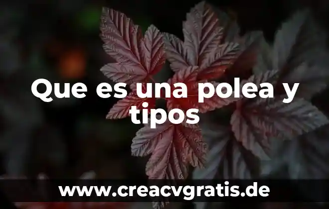 Por qué es ilegal y tipos de marihuana 6 Que es una polea y tipos