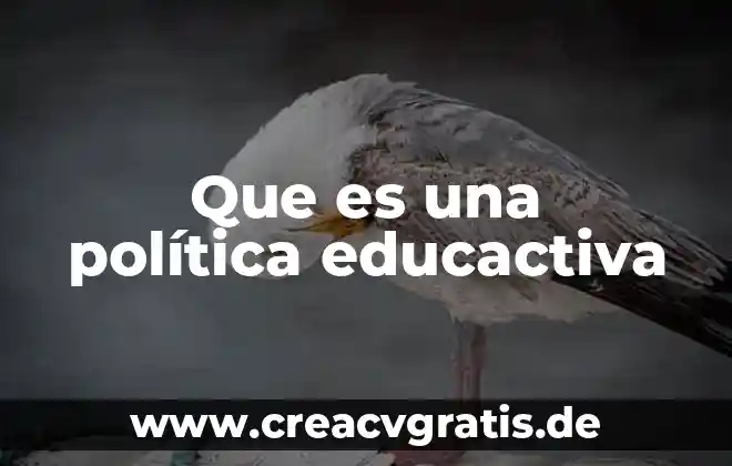 Que es superficialidad politica 5 Que es una política educactiva