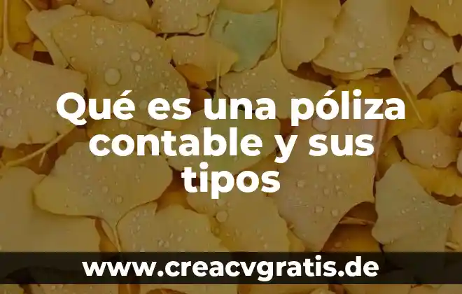 Programa contable que es 3 Qu茅 es una p贸liza contable y sus tipos