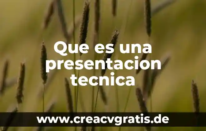 Que es presentacion y tratamiento de la informaci贸n 5 Que es una presentacion tecnica
