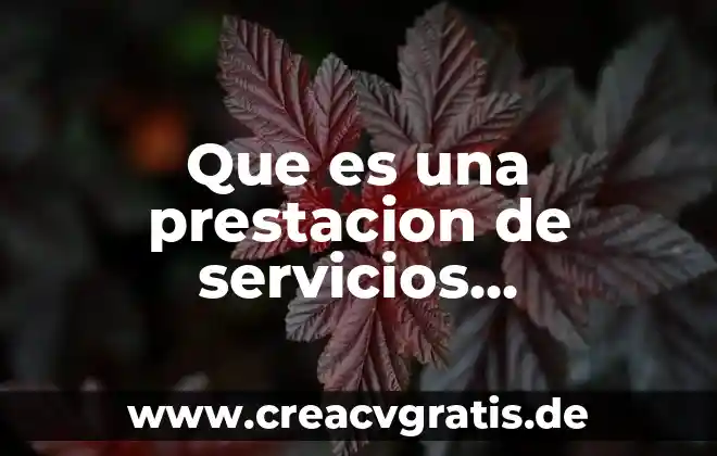 Que es un servicios en linea 4 Que es una prestacion de servicios fundamento legal