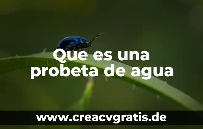 Que es la contaminaacion del agua 8 Que es una probeta de agua