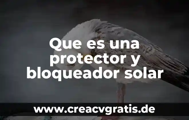 Que es un ambiente protector yahoo 3 Que es una protector y bloqueador solar