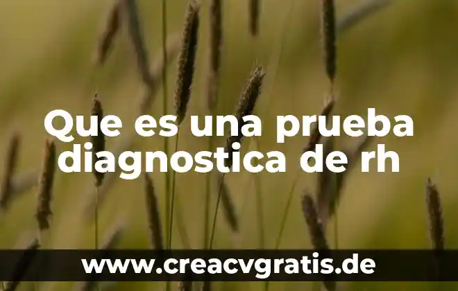 Prueba íloto que es 3 Que es una prueba diagnostica de rh