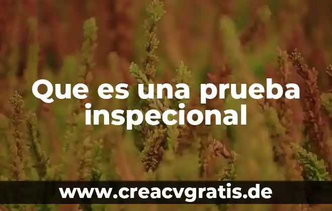 Qué es una placa dental a prueba 7 Que es una prueba inspecional