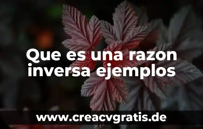 Que es nombre o razon social siendo persona fisica 6 Que es una razon inversa ejemplos