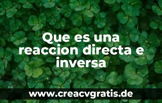 Que es un modelo de reaccion quimica 6 Que es una reaccion directa e inversa