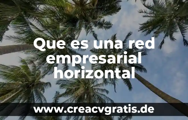 Que es lenguaje empresarial ejemplos 4 Que es una red empresarial horizontal