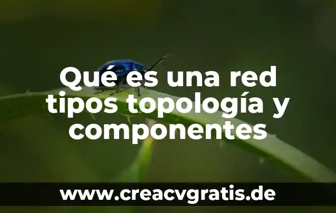 Que es la critica y cuales son sus tipos 7 Qué es una red tipos topología y componentes