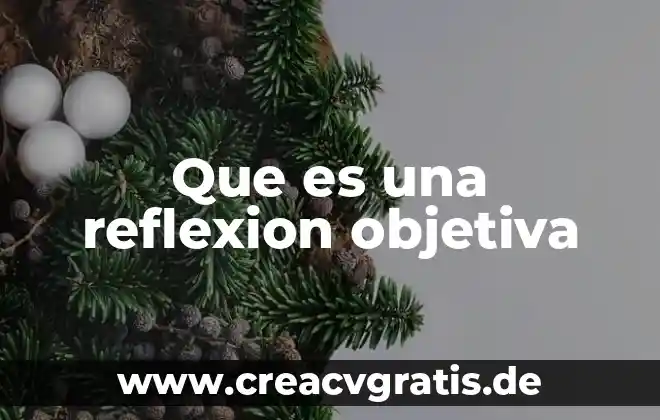 Que significa que es objetiva 8 Que es una reflexion objetiva