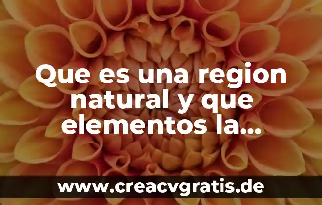 Qué es una gráfica, tipos, elementos y para qué sirve 3 Que es una region natural y que elementos la componen