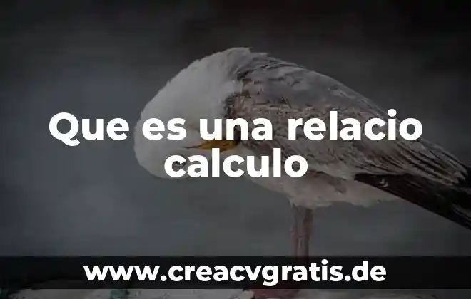 Que es el calculo del iva 6 Que es una relacio calculo