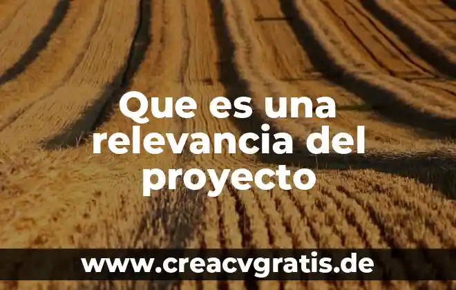 Qué es programación macros en Excel 3 Que es una relevancia del proyecto