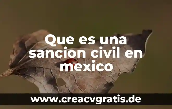 Que es la danza contemporanea en mexico 4 Que es una sancion civil en mexico