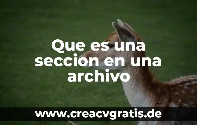 Qué es significa archivo gb 4 Que es una seccion en una archivo