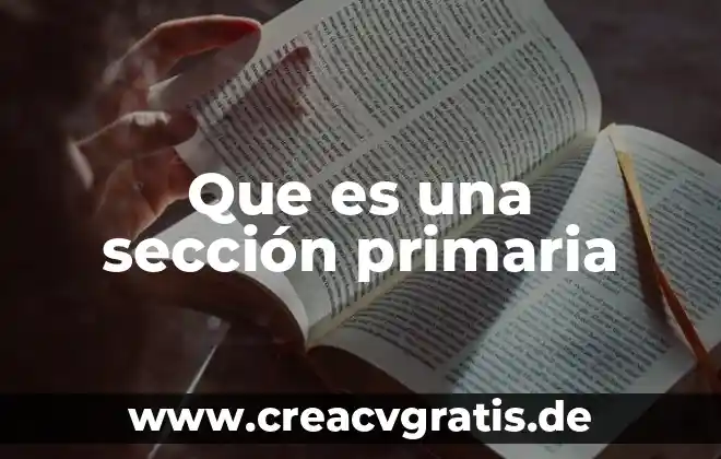 Que es la planificacion didactica en la escuela primaria 5 Que es una sección primaria